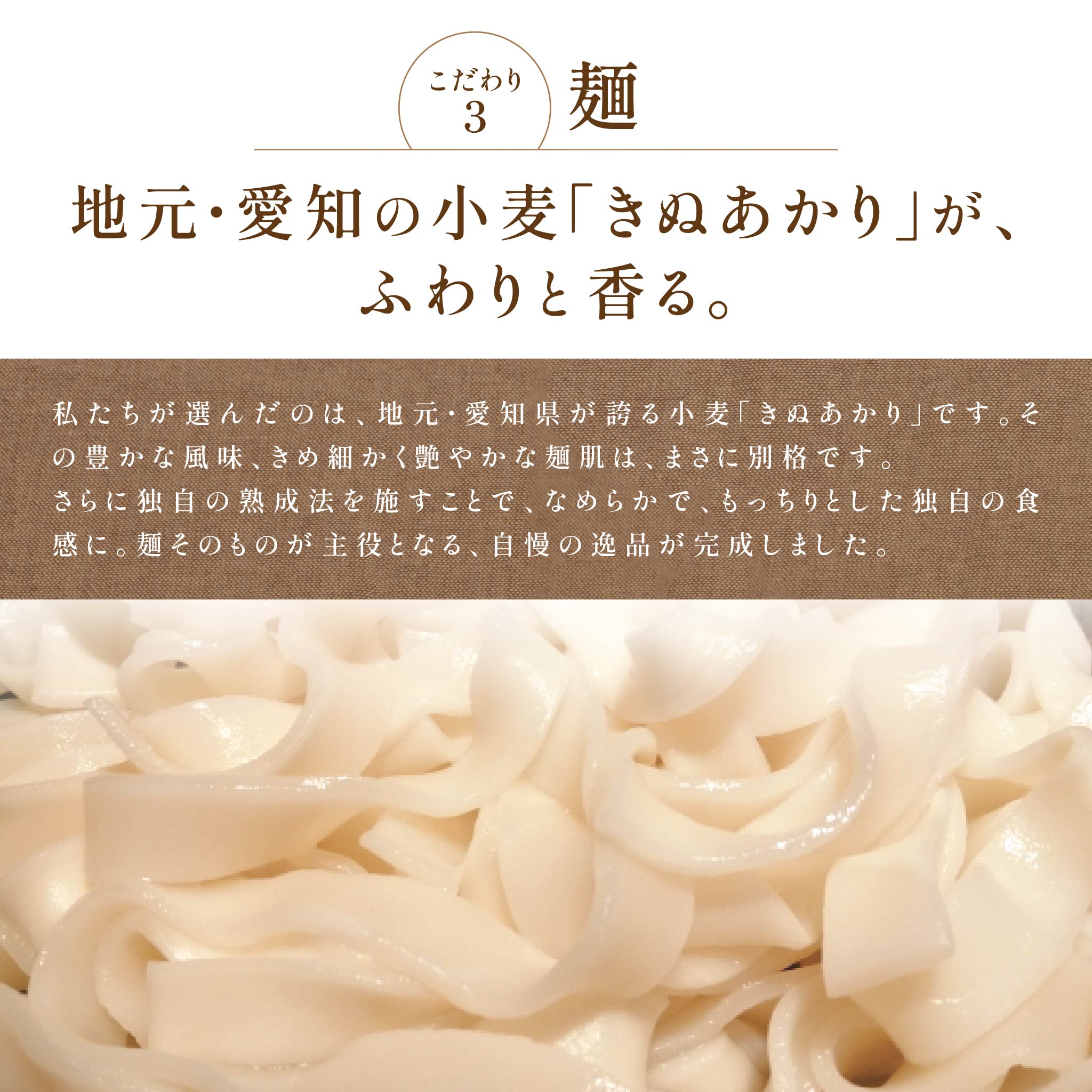 参考バナー 麺